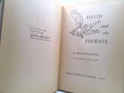 Actual Product Display 2