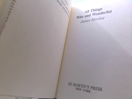 Actual Product Display 2