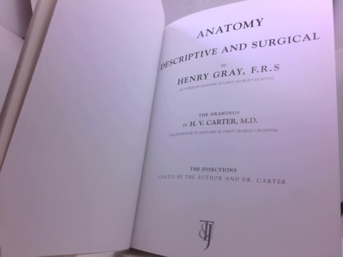 Actual Product Display 2