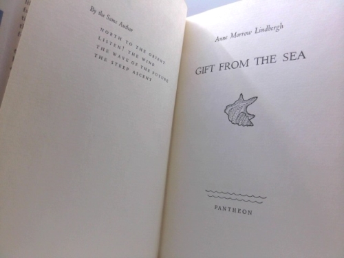 Actual Product Display 2