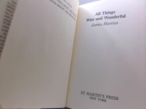 Actual Product Display 2