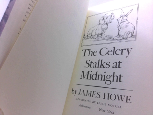 Actual Product Display 2