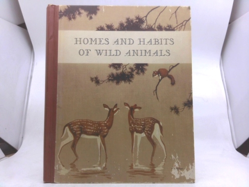 Homes & Habitats of Wild Animals