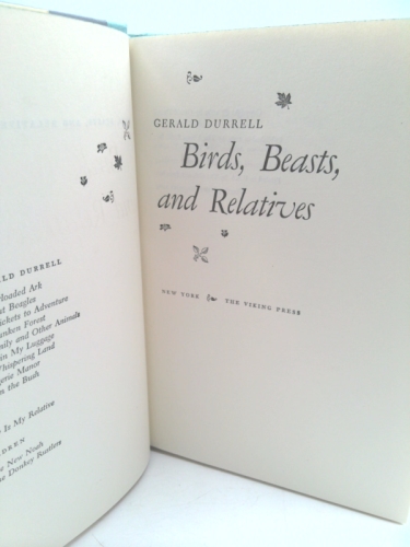 Actual Product Display 2