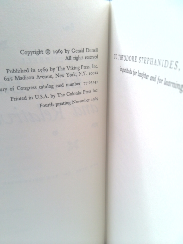 Actual Product Display 3