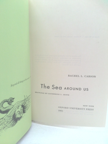 Actual Product Display 2