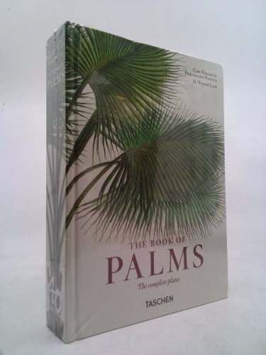 Actual Product Display Primary Cover