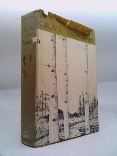 Actual Product Display Primary Cover