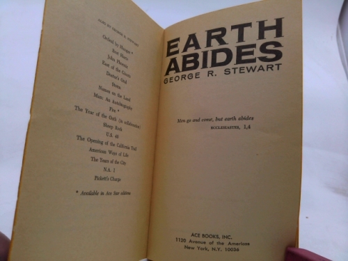 Actual Product Display 2