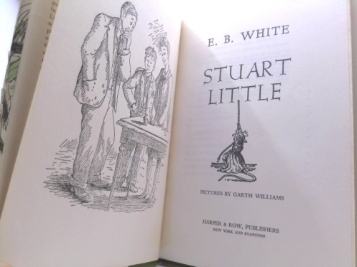 Actual Product Display 2