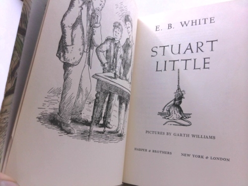 Actual Product Display 2