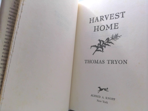 Actual Product Display 2