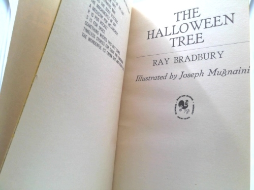 Actual Product Display 2