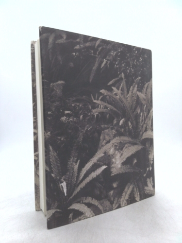 Actual Product Display 2