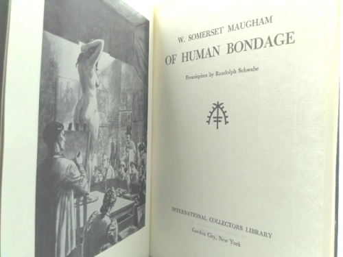 Actual Product Display 3