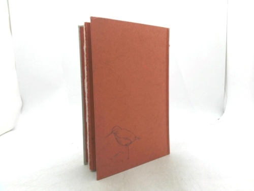 Actual Product Display 2