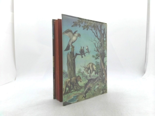 Actual Product Display 2