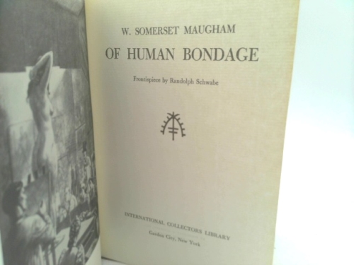 Actual Product Display 2