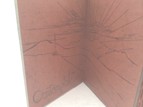 Actual Product Display 2