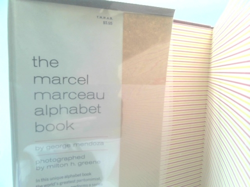 Actual Product Display 5