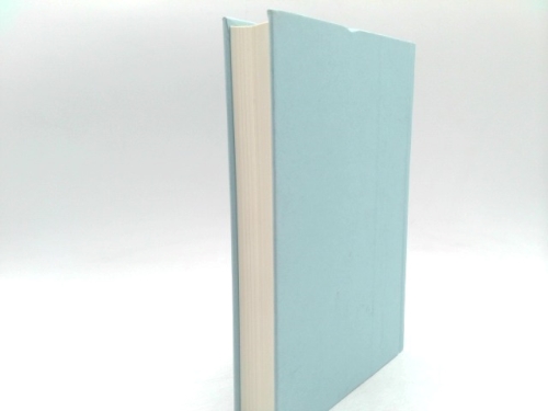 Actual Product Display 2