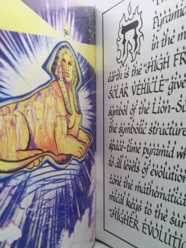 Actual Product Display 5