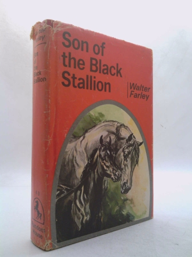 Son of the Black Stallion