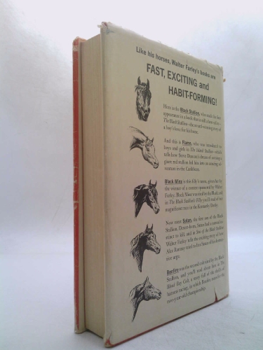 Actual Product Display 2