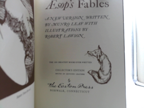 Actual Product Display 2