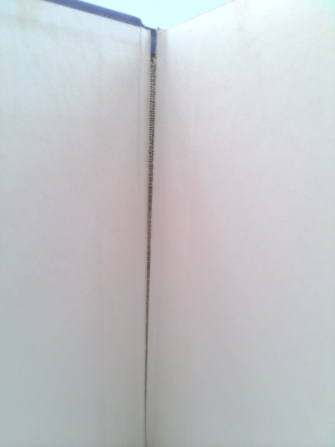 Actual Product Display 5