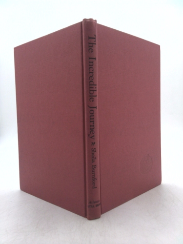 Actual Product Display 3