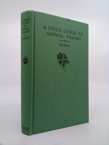 Actual Product Display Primary Cover