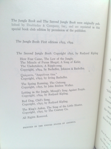 Actual Product Display 3