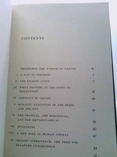 Actual Product Display 5