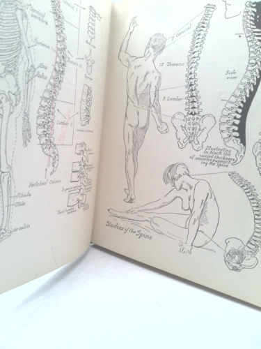 Actual Product Display 4