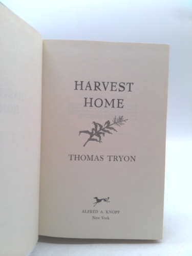 Actual Product Display 2