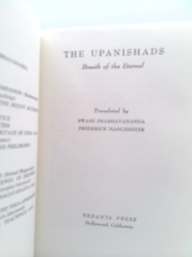 Actual Product Display 2