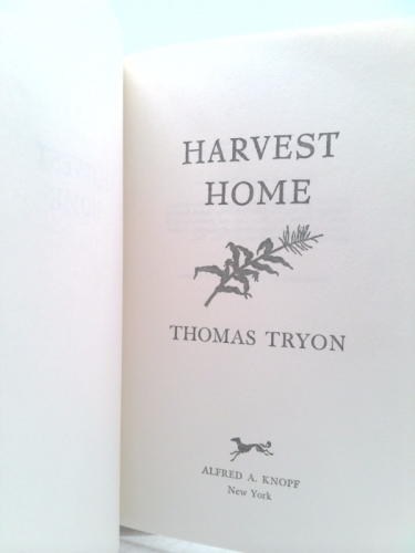 Actual Product Display 2