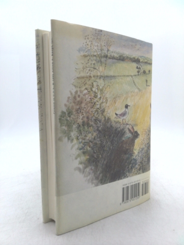 Actual Product Display 2