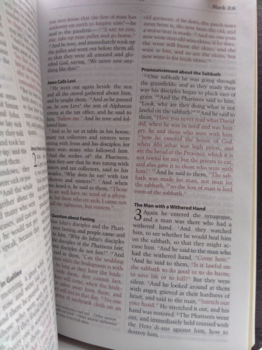 Actual Product Display 5