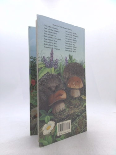 Actual Product Display 2