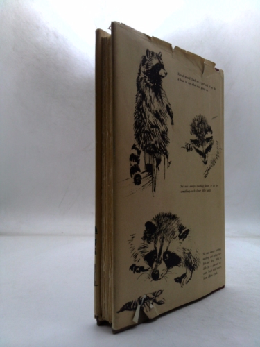 Actual Product Display 2