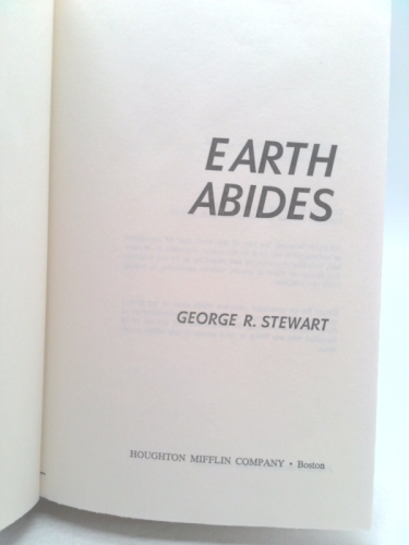 Actual Product Display 3