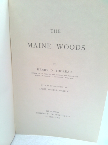 Actual Product Display 3