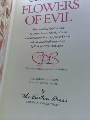 Actual Product Display 3