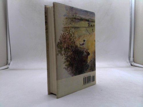 Actual Product Display 2