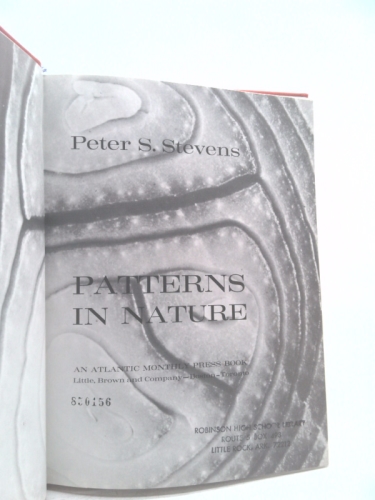 Actual Product Display 2