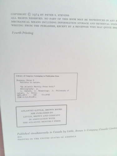 Actual Product Display 3