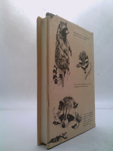 Actual Product Display 2