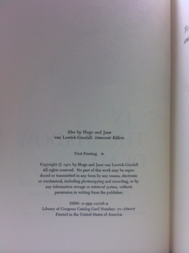 Actual Product Display 3